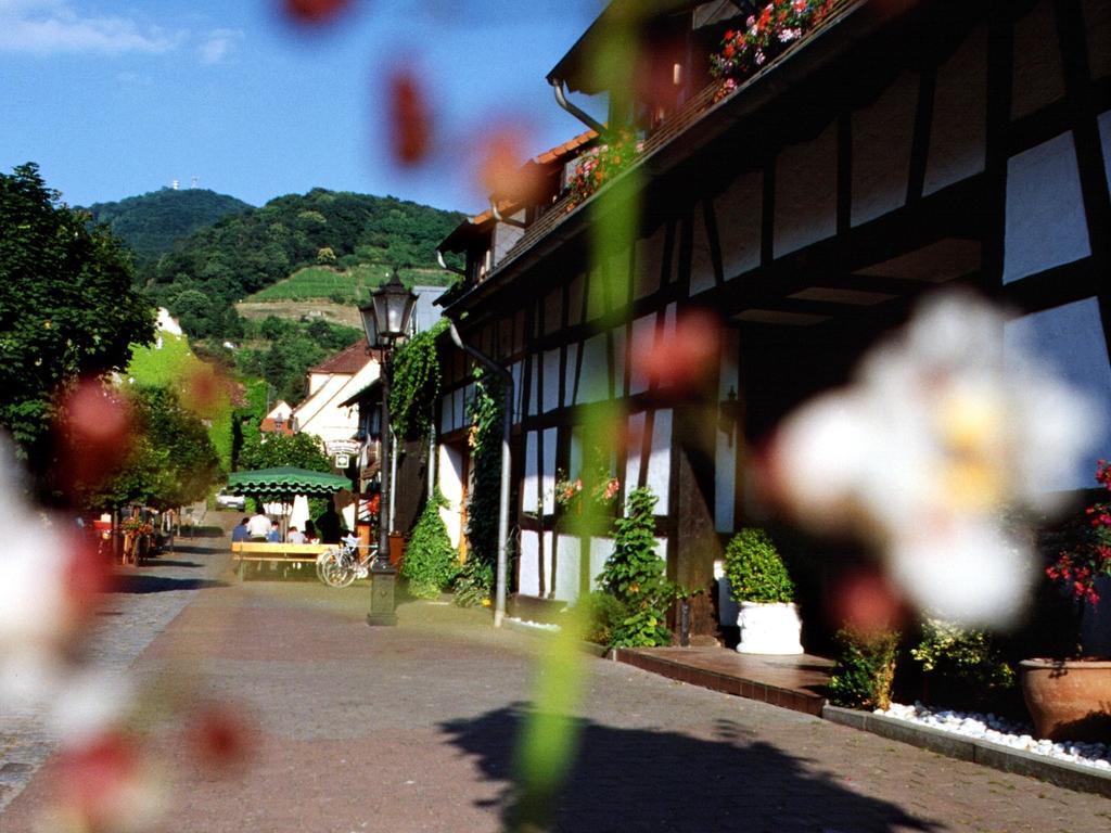 Hotel Garni Zur Bergstrasse Zwingenberg  Екстер'єр фото